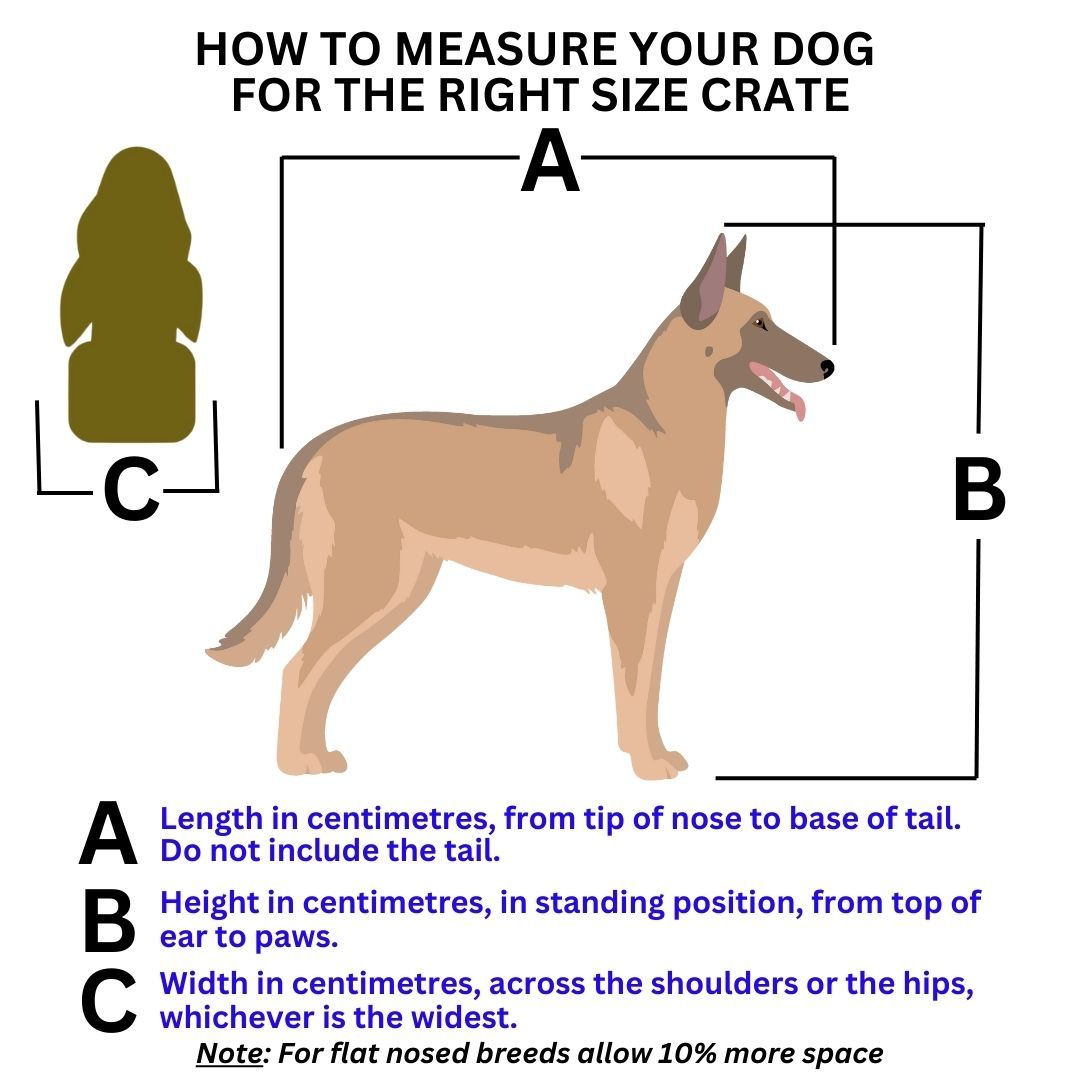 How to Measure your dog for the right size crate